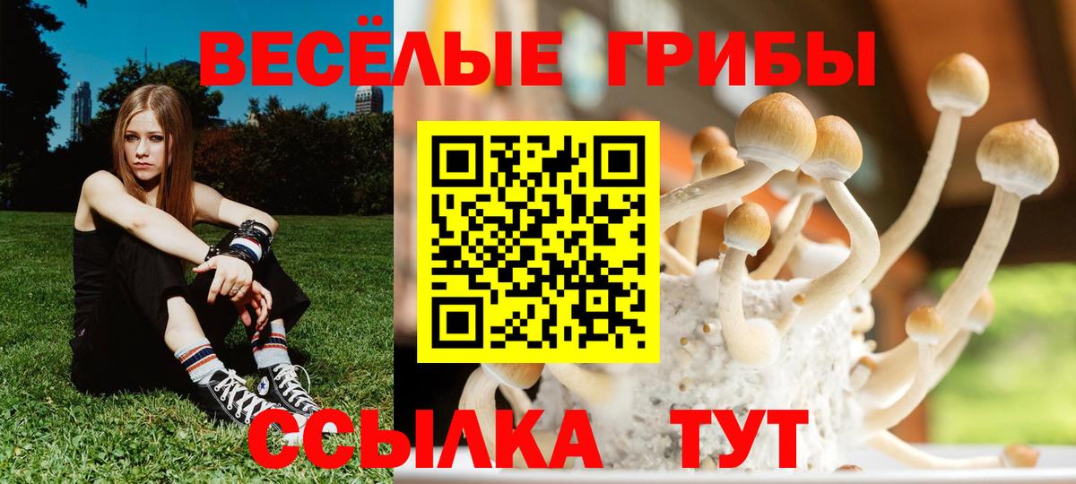 Псилоцибиновые грибы MAGIC MUSHROOMS Геленджик